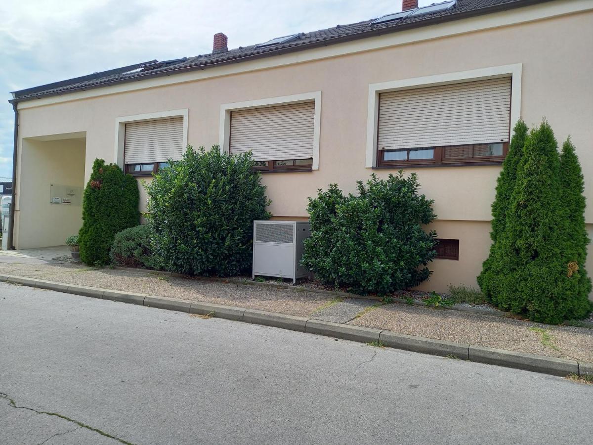 مبيت وإفطار إلميتز Weingut Gastehaus Palkowitsch المظهر الخارجي الصورة
