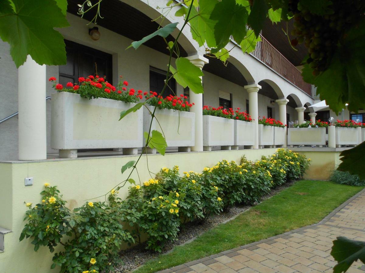 مبيت وإفطار إلميتز Weingut Gastehaus Palkowitsch المظهر الخارجي الصورة