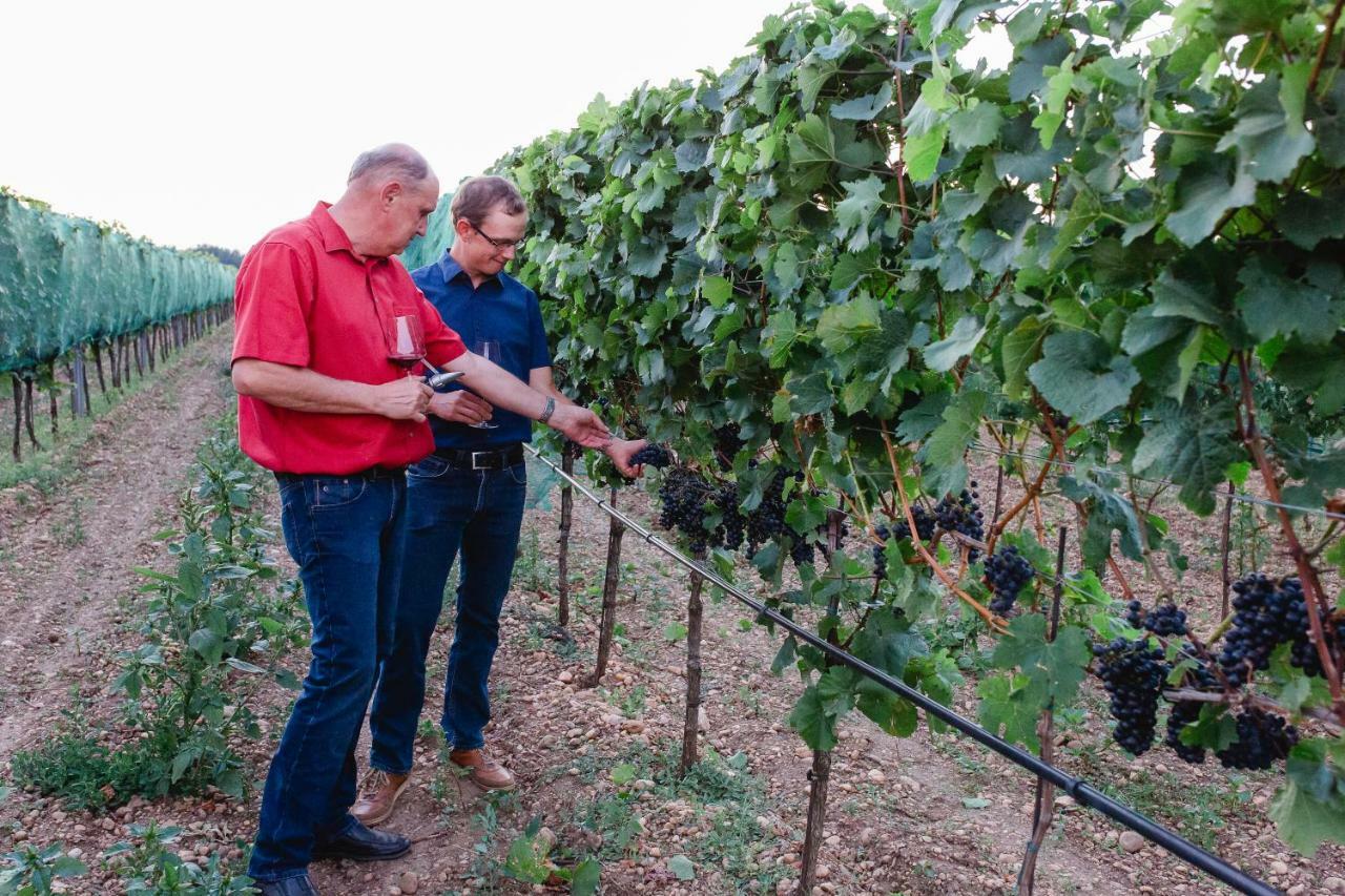 مبيت وإفطار إلميتز Weingut Gastehaus Palkowitsch المظهر الخارجي الصورة